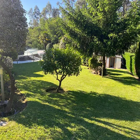 Arlington Real Estate Vigo * 폰테베드라