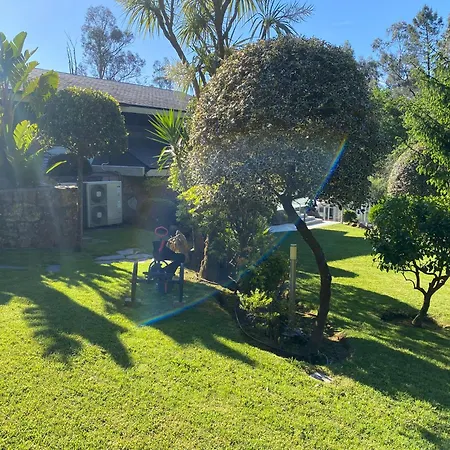 Arlington Real Estate Vigo