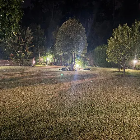 Arlington Real Estate Vigo *